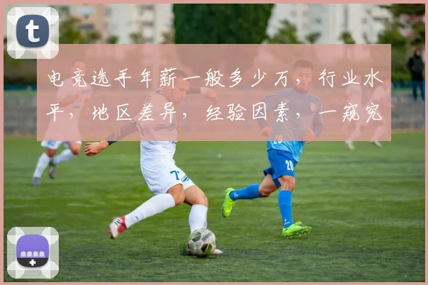 电竞选手年薪一般多少万，行业水平，地区差异，经验因素，一窥究竟。