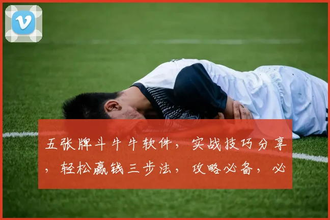 五张牌斗牛牛软件，实战技巧分享，轻松赢钱三步法，攻略必备，必看