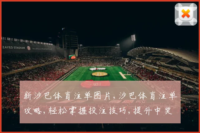新沙巴体育注单图片,沙巴体育注单攻略,轻松掌握投注技巧,提升中奖率