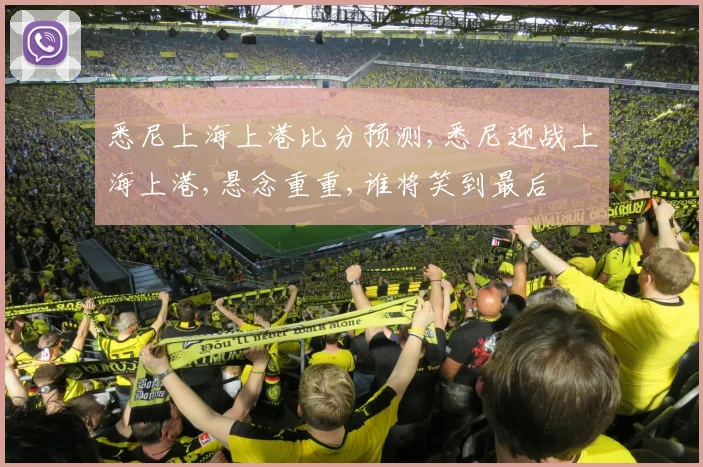 悉尼上海上港比分预测,悉尼迎战上海上港,悬念重重,谁将笑到最后
